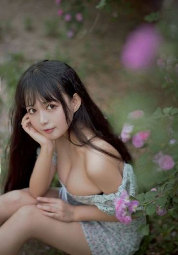 簪定此生电视剧_BD国语在线观看高清
