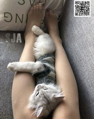 坠落的女教师_720在线手机播放