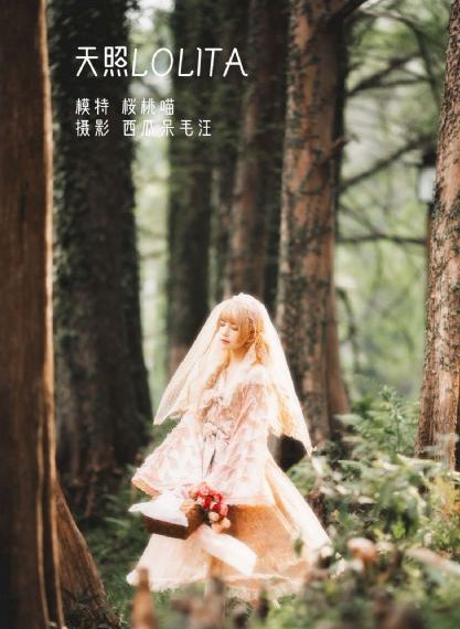 成年人免费在线看_高清版日韩电影在线